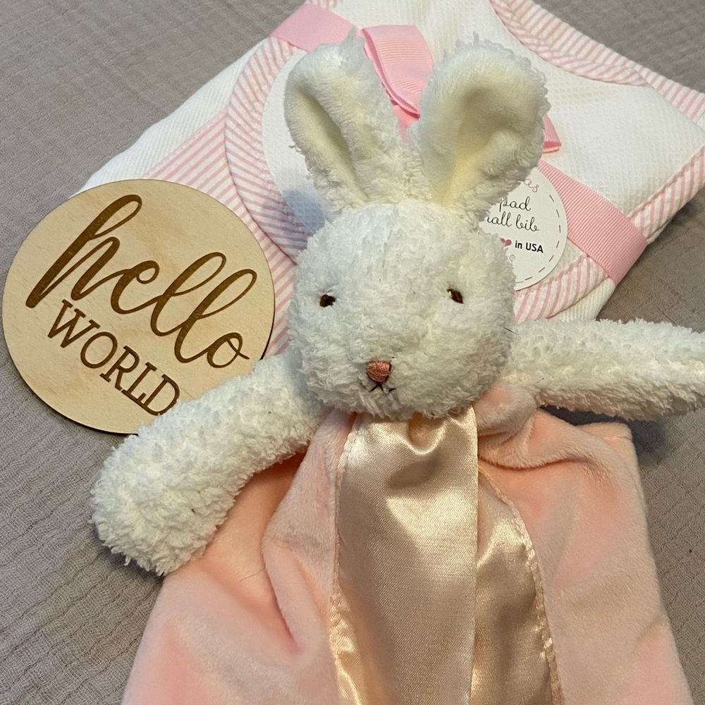 Baby girl BUNDLE | bibs, burp cloth, bunny, welcome sign